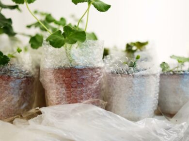 rośliny opakowane folią bąbelkową